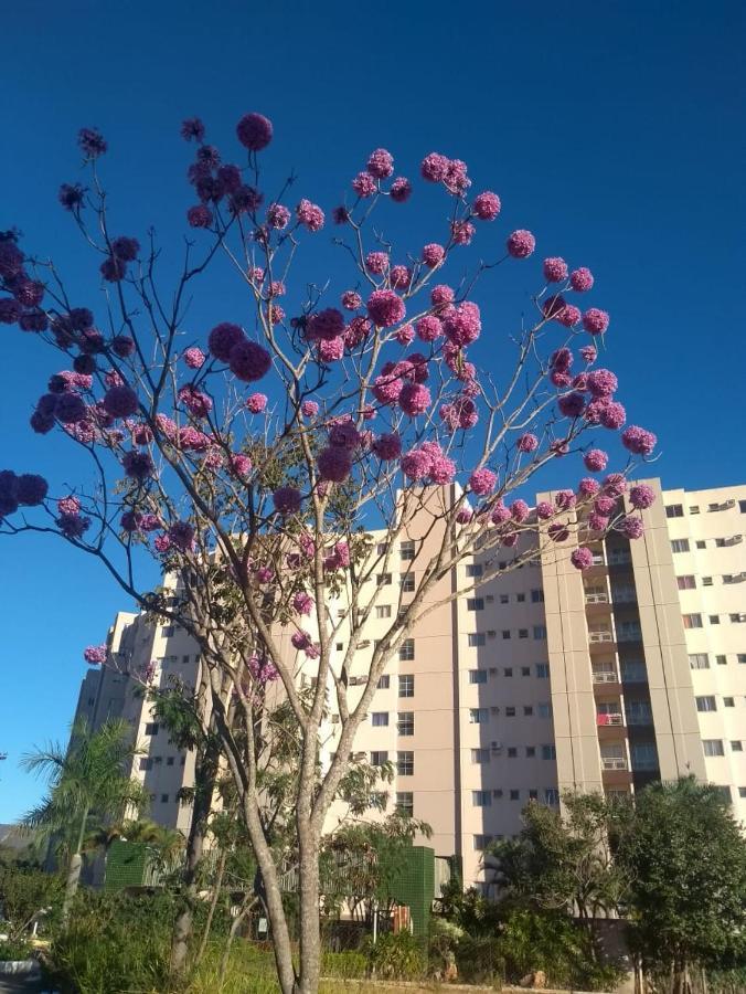 Apartamento Ecologic Park Caldas Novas Exterior foto